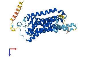 AlphaFold protein structure predicition of Human Recombinant TAAR2 Protein, UniprotID Q9P1P5