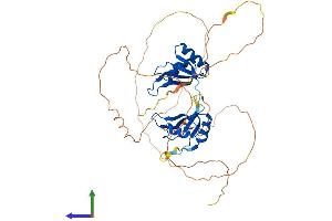 AlphaFold protein structure predicition of Mouse Recombinant Rbms3 Protein, UniprotID Q8BWL5