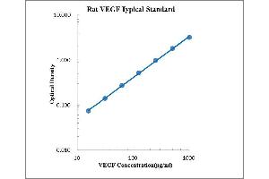 ELISA image for Vascular Endothelial Growth Factor (VEGF) ELISA Kit (ABIN2472113) (VEGF Kit ELISA)
