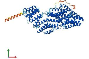 AlphaFold protein structure predicition of Human Recombinant MAU2 Protein, UniprotID Q9Y6X3
