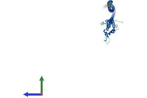 AlphaFold protein structure predicition of Human Recombinant NUF2 Protein, UniprotID Q9BZD4