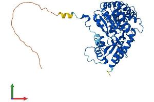 AlphaFold protein structure predicition of Mouse Recombinant Kyat3 Protein, UniprotID Q71RI9