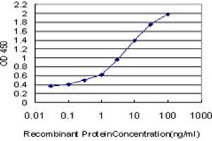 Detection limit for recombinant GST tagged IL17B is approximately 0. (IL17B anticorps  (AA 23-122))