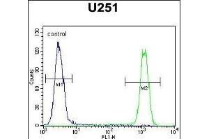 C Antibody (C-term) (ABIN654459 and ABIN2844192) flow cytometric analysis of  cells (right histogram) compared to a negative control cell (left histogram). (SLC35F6 anticorps  (C-Term))