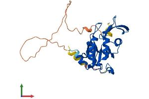 AlphaFold protein structure predicition of Mouse Recombinant Ctdsp2 Protein, UniprotID Q8BX07