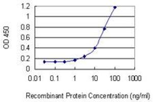 Detection limit for recombinant GST tagged NUP50 is 0.