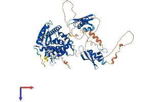 AlphaFold protein structure predicition of Mouse Recombinant Strbp Protein, UniprotID Q91WM1