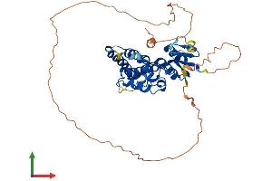 AlphaFold protein structure predicition of Human Recombinant CLIC5 Protein, UniprotID Q9NZA1