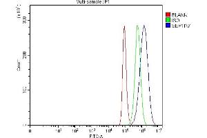Flow Cytometry analysis of Hela cells using anti-SEPT7/SEPTIN7 antibody (ABIN7599301). (Septin 7 anticorps  (AA 1-351))