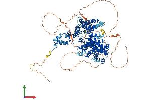 AlphaFold protein structure predicition of Human Recombinant CCNF Protein, UniprotID P41002
