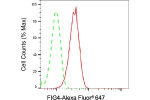anti-FIG4 Homolog, SAC1 Lipid Phosphatase Domain Containing (FIG4) antibody