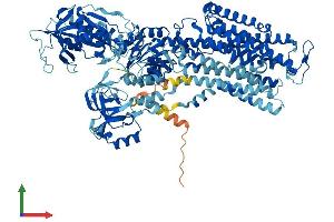 AlphaFold protein structure predicition of Mouse Recombinant Atp1a3 Protein, UniprotID Q6PIC6