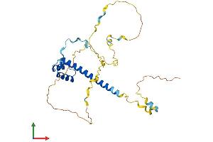 AlphaFold protein structure predicition of Mouse Recombinant Tlx2 Protein, UniprotID Q61663