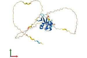 AlphaFold protein structure predicition of Mouse Recombinant Sh2d6 Protein, UniprotID Q9D413
