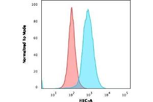 Flow Cytometric Analysis of paraformaldehyde-fixed MOLT4 cells. (CD22 anticorps  (AA 52-178))