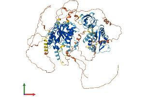 AlphaFold protein structure predicition of Human Recombinant PITPNM3 Protein, UniprotID Q9BZ71