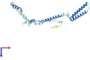 AlphaFold protein structure predicition of Mouse Recombinant Enkur Protein, UniprotID Q6SP97