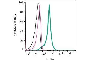 Cell surface detection of CD63 by indirect flow cytometry in  derived exosomes:Exosomes only.