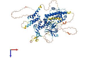 AlphaFold protein structure predicition of Human Recombinant RGL1 Protein, UniprotID Q9NZL6
