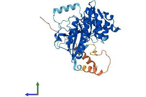 AlphaFold protein structure predicition of Mouse Recombinant Pip5kl1 Protein, UniprotID Q6U7H8