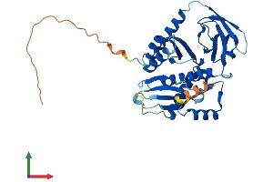AlphaFold protein structure predicition of Mouse Recombinant Mrpl39 Protein, UniprotID Q9JKF7