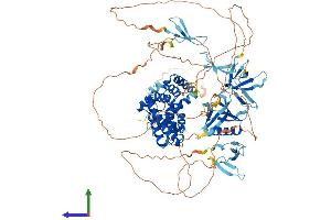 AlphaFold protein structure predicition of Human Recombinant ARHGAP27 Protein, UniprotID Q6ZUM4