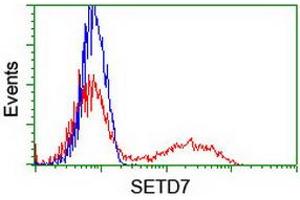 Flow Cytometry (FACS) image for anti-SET Domain Containing (Lysine Methyltransferase) 7 (SETD7) antibody (ABIN1500903) (SETD7 anticorps)