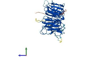 AlphaFold protein structure predicition of Human Recombinant RCC1L Protein, UniprotID Q96I51