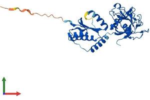 AlphaFold protein structure predicition of Human Recombinant PPIL6 Protein, UniprotID Q8IXY8