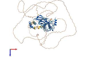 AlphaFold protein structure predicition of Mouse Recombinant Snrk Protein, UniprotID Q8VDU5