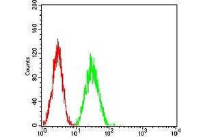 Flow cytometric analysis of SK-OV-3 cells using SP10 mouse mAb (green) and negative control (red).