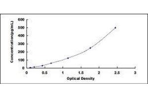 Growth Differentiation Factor 2 (GDF2) ELISA Kit