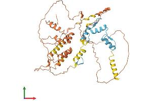 AlphaFold protein structure predicition of Human Recombinant ZBTB12 Protein, UniprotID Q9Y330