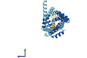 AlphaFold protein structure predicition of Mouse Recombinant Slc25a47 Protein, UniprotID Q6IS41