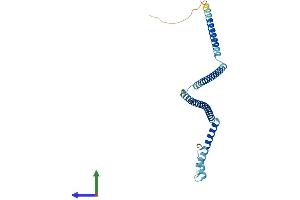 AlphaFold protein structure predicition of Mouse Recombinant Cenph Protein, UniprotID Q9QYM8