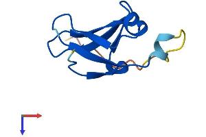 AlphaFold protein structure predicition of Mouse Recombinant Dph3 Protein, UniprotID Q8K0W9