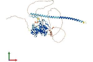AlphaFold protein structure predicition of Human Recombinant MAP3K7 Protein, UniprotID O43318