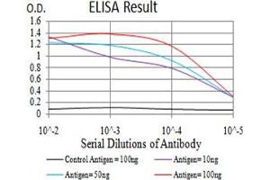 Black line: Control Antigen (100 ng);Purple line: Antigen (10ng); Blue line: Antigen (50 ng); Red line:Antigen (100 ng)