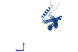AlphaFold protein structure predicition of Human Recombinant BIN3 Protein, UniprotID Q9NQY0
