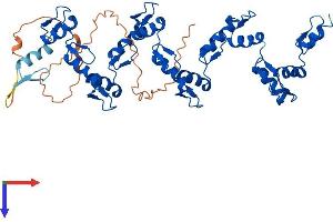 AlphaFold protein structure predicition of Human Recombinant ZFP2 Protein, UniprotID Q6ZN57