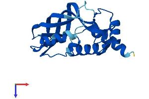 AlphaFold protein structure predicition of Mouse Recombinant Chac2 Protein, UniprotID Q9CQG1