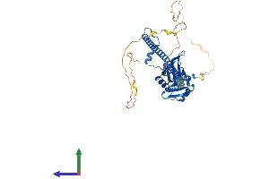 AlphaFold protein structure predicition of Mouse Recombinant Nono Protein, UniprotID Q99K48