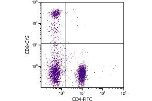Human peripheral blood lymphocytes were stained with Mouse Anti-Human CD8-CY5. (CD8 anticorps  (Cy5))