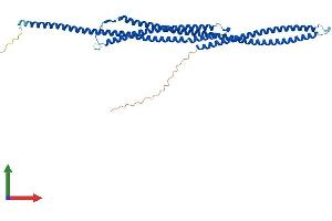 AlphaFold protein structure predicition of Human Recombinant TEKT2 Protein, UniprotID Q9UIF3