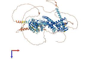 AlphaFold protein structure predicition of Human Recombinant KCNH6 Protein, UniprotID Q9H252
