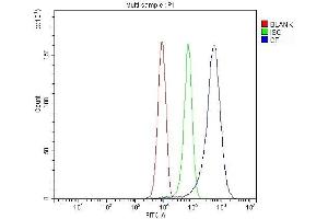 anti-Ceruloplasmin (Ferroxidase) (CP) (AA 20-259) antibody