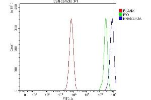 Flow Cytometry analysis of K562 cells using anti-RNASEH2A antibody (ABIN7600899).