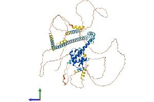 AlphaFold protein structure predicition of Human Recombinant FOXP2 Protein, UniprotID O15409
