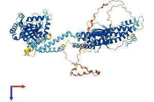 AlphaFold protein structure predicition of Mouse Recombinant Dnm3 Protein, UniprotID Q8BZ98
