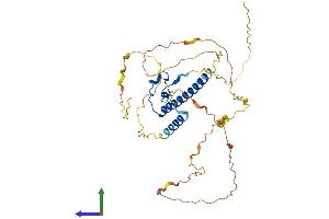 AlphaFold protein structure predicition of Mouse Recombinant Dmrtc2 Protein, UniprotID Q8CGW9